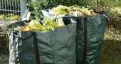 Evacuation des déchets verts 49